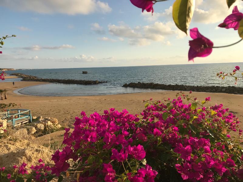 Sikelika Residence Sul Mare สโกลิตตี ภายนอก รูปภาพ